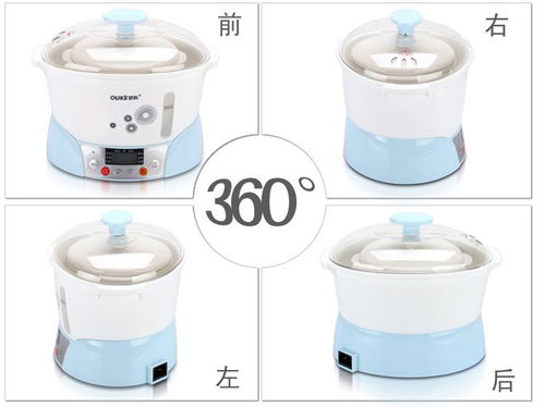 ouke 歐科多功能電燉盅okdz 12t3
